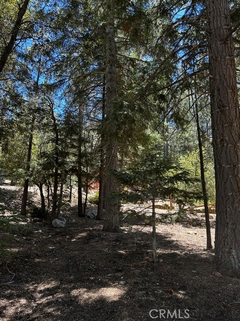 1221 Azalea Dr Property Photo 2