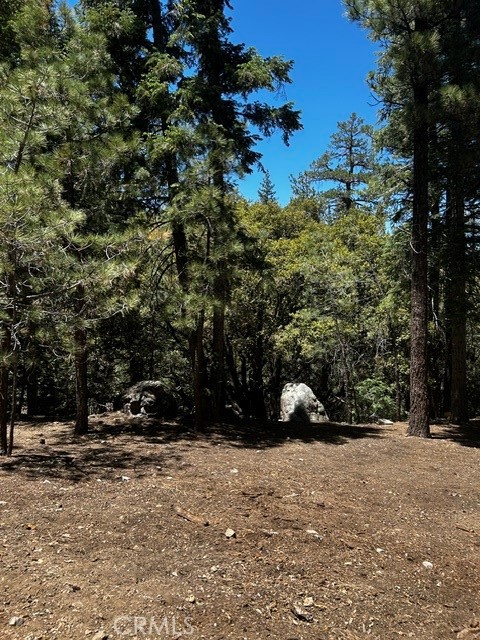 1221 Azalea Dr Property Photo 4