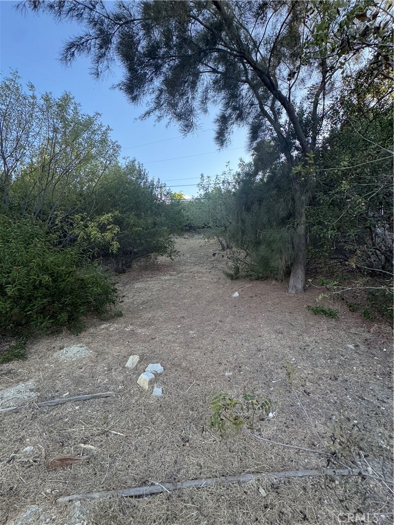 4551 Lindley Avenue Property Photo 7