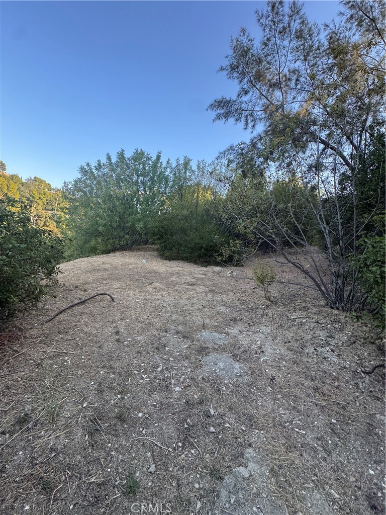 4551 Lindley Avenue Property Photo 8