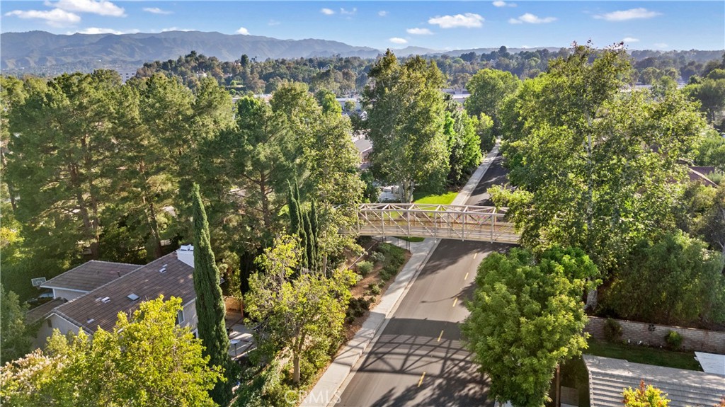26060 Sombras Court Property Photo 46