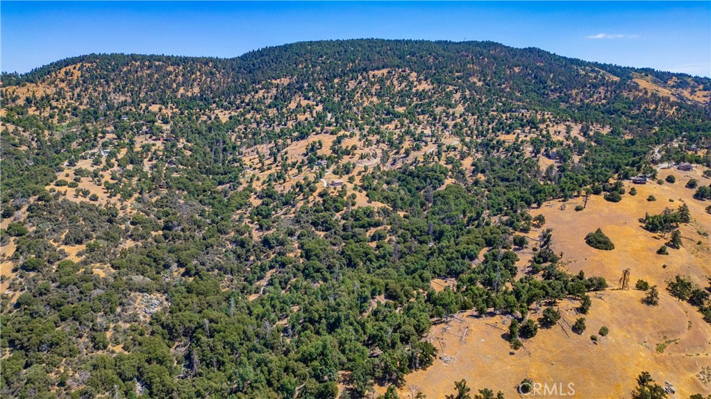 29600 Goldspike Road Property Photo 44