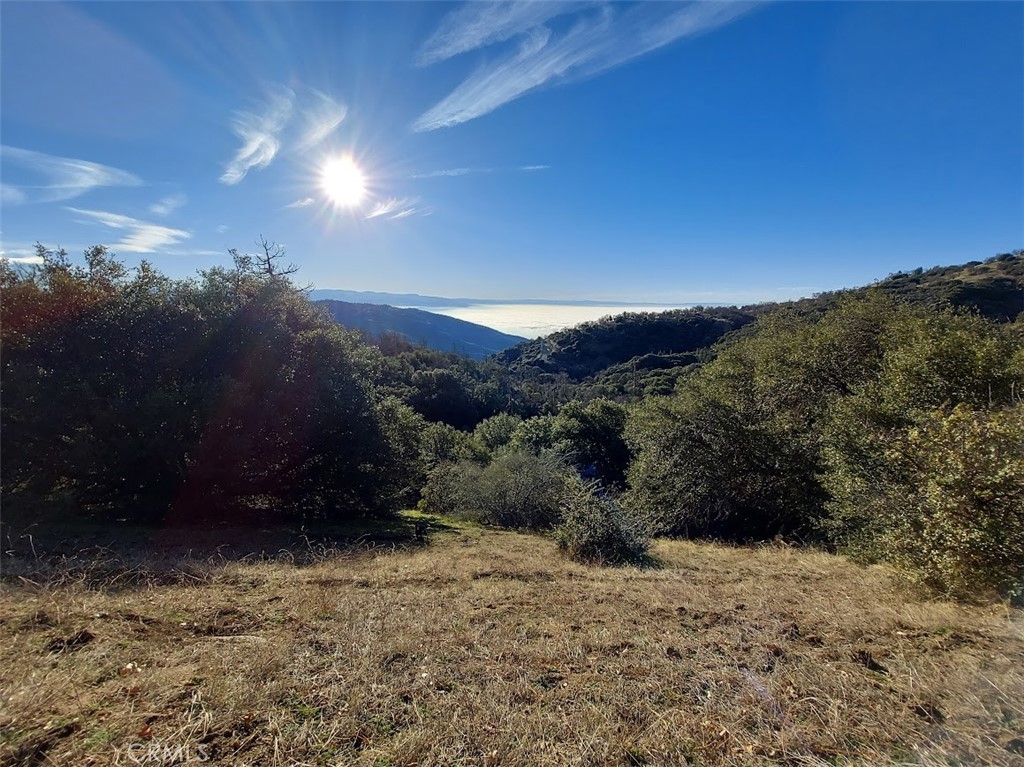 29600 Goldspike Road Property Photo 52