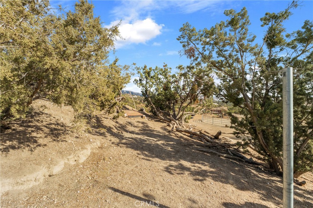6535 Juniper Crest Road Property Photo 52