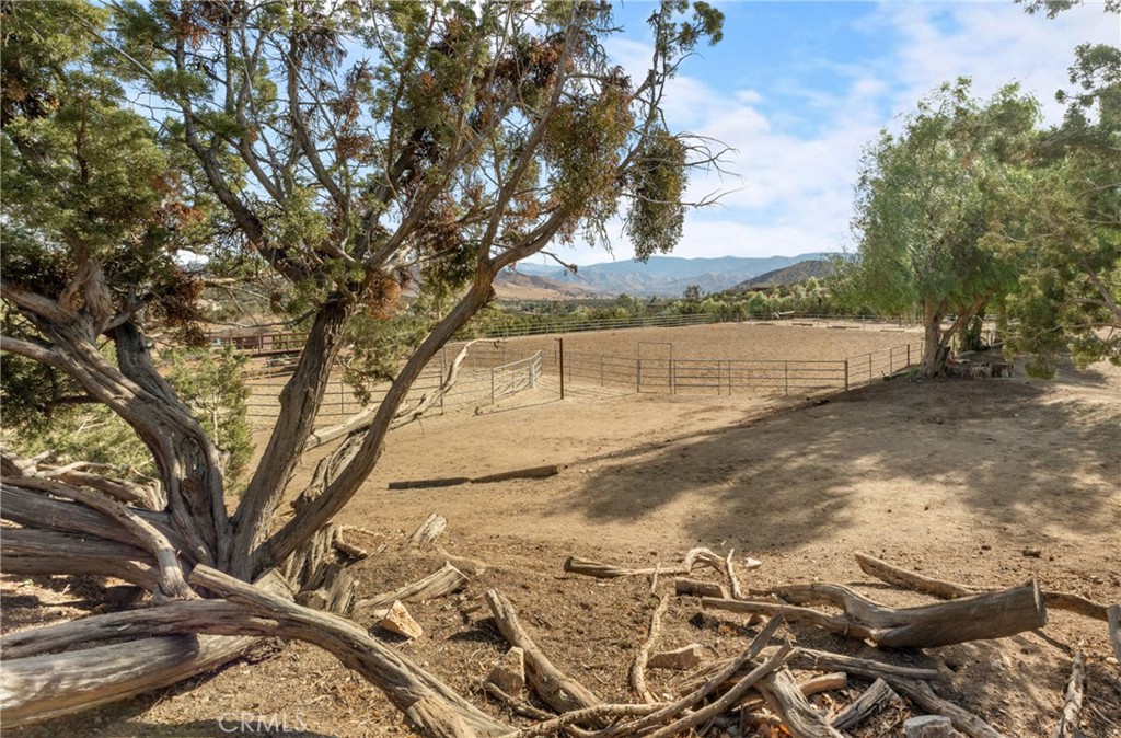 6535 Juniper Crest Road Property Photo 53
