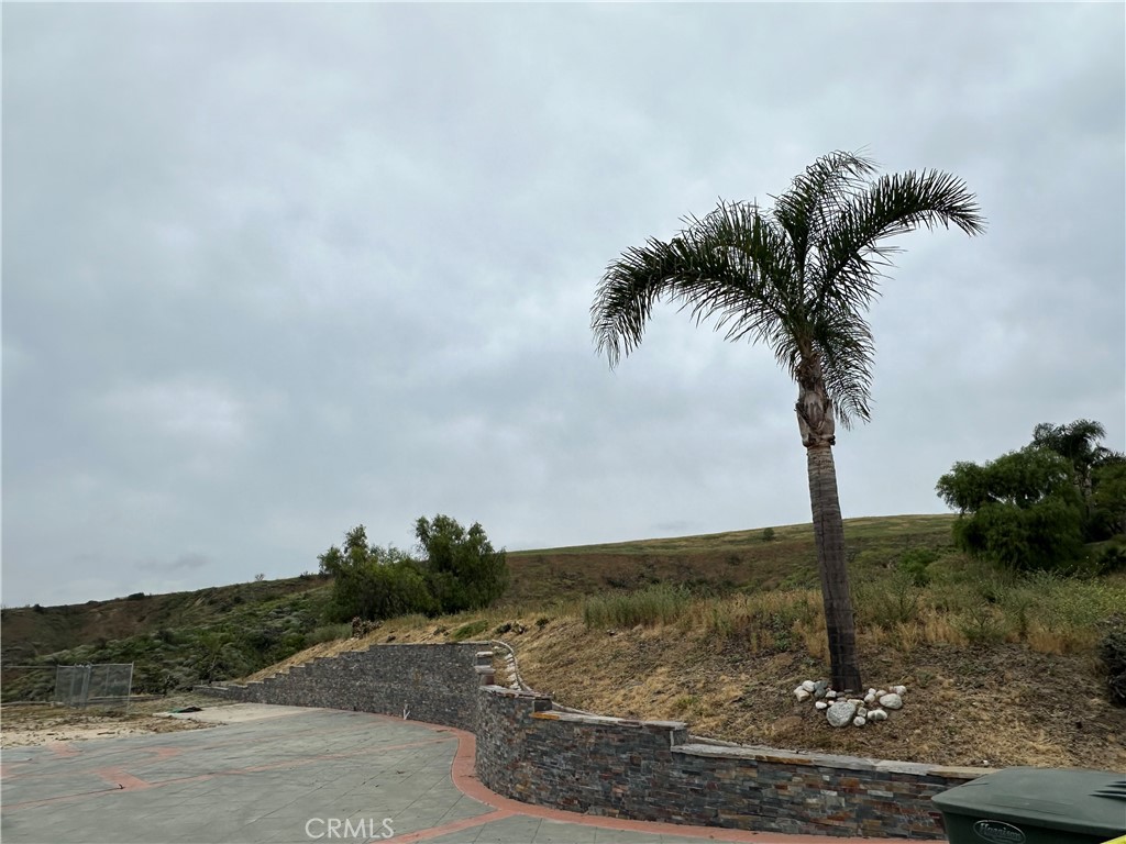 48 Altamont Property Photo 4