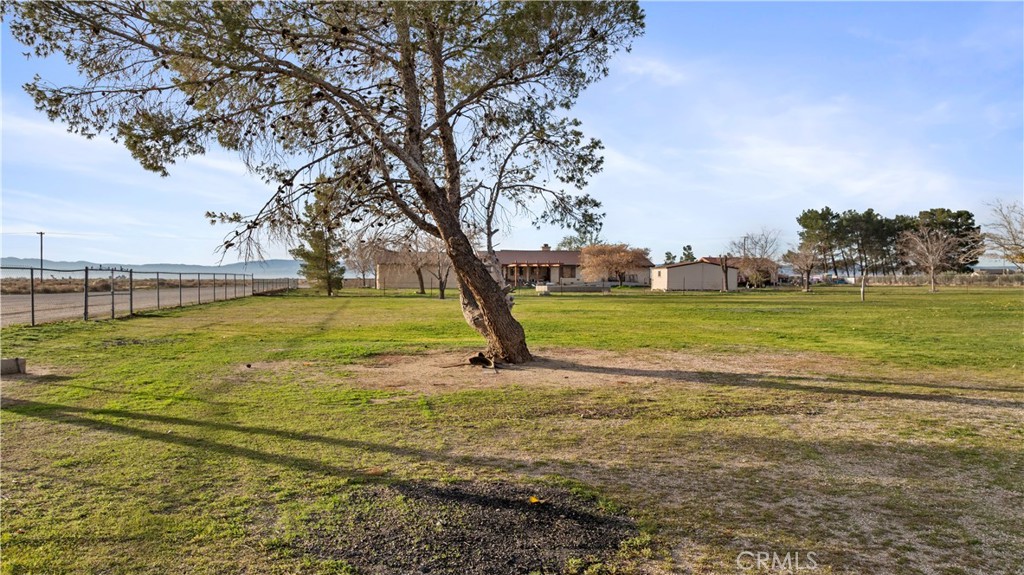 6532 Birch Street Property Photo 51