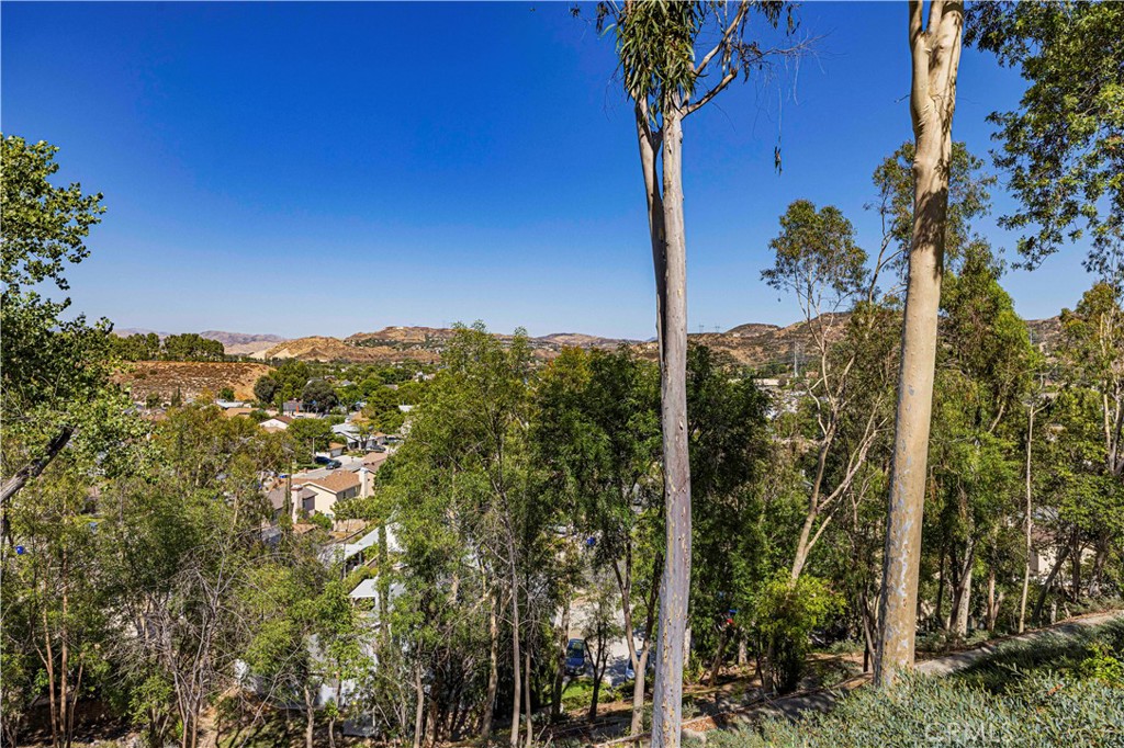 21816 Peppercorn Property Photo 47