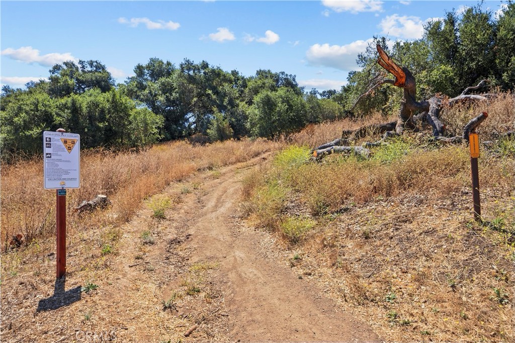 284 Heavenly Valley Property Photo 19