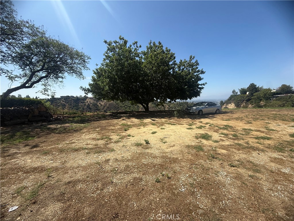 3511 Beverly Glen Boulevard Property Photo 5