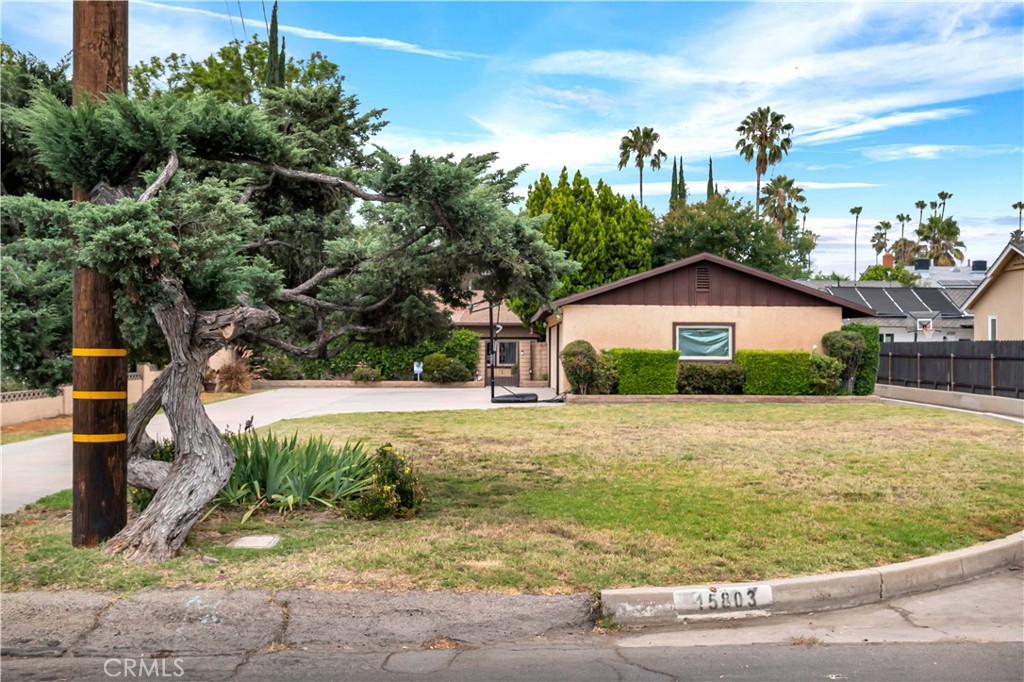 15803 Gault Street Property Photo 6