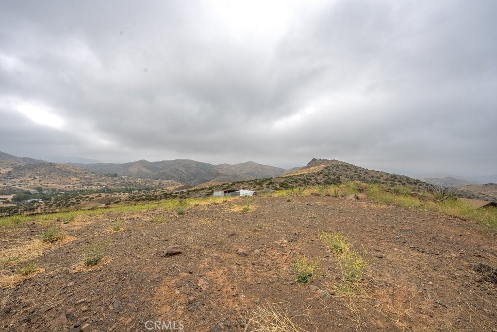 33330 Palen Property Photo 38