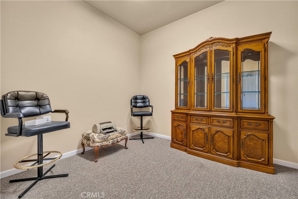 29801 Greenwater Drive Property Photo 41