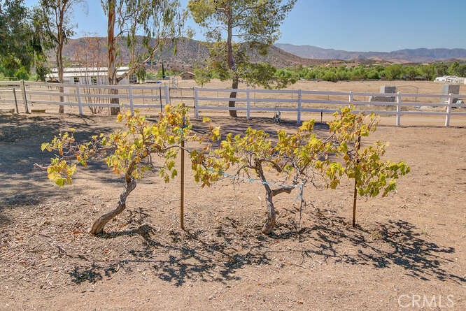 35502 Voss Road Property Photo 43