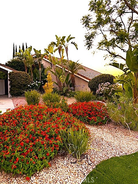 7 Carob Property Photo 11