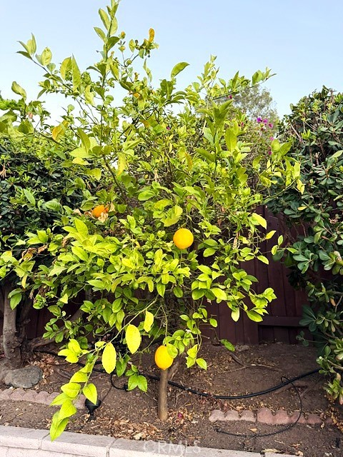 7 Carob Property Photo 14