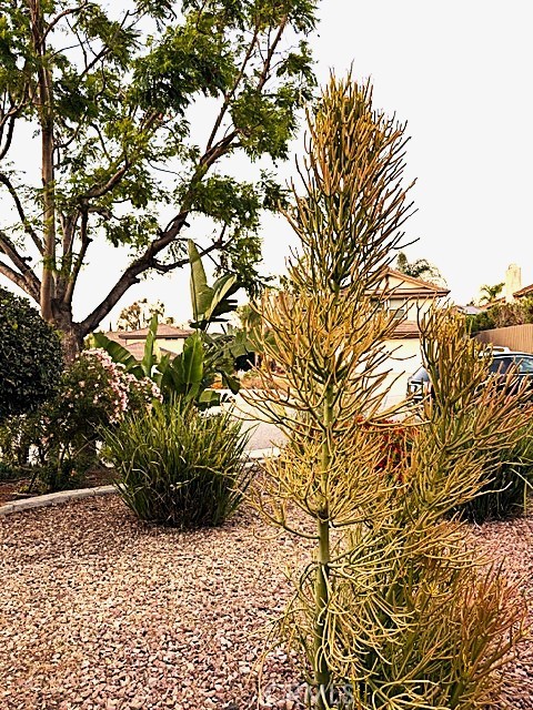 7 Carob Property Photo 15