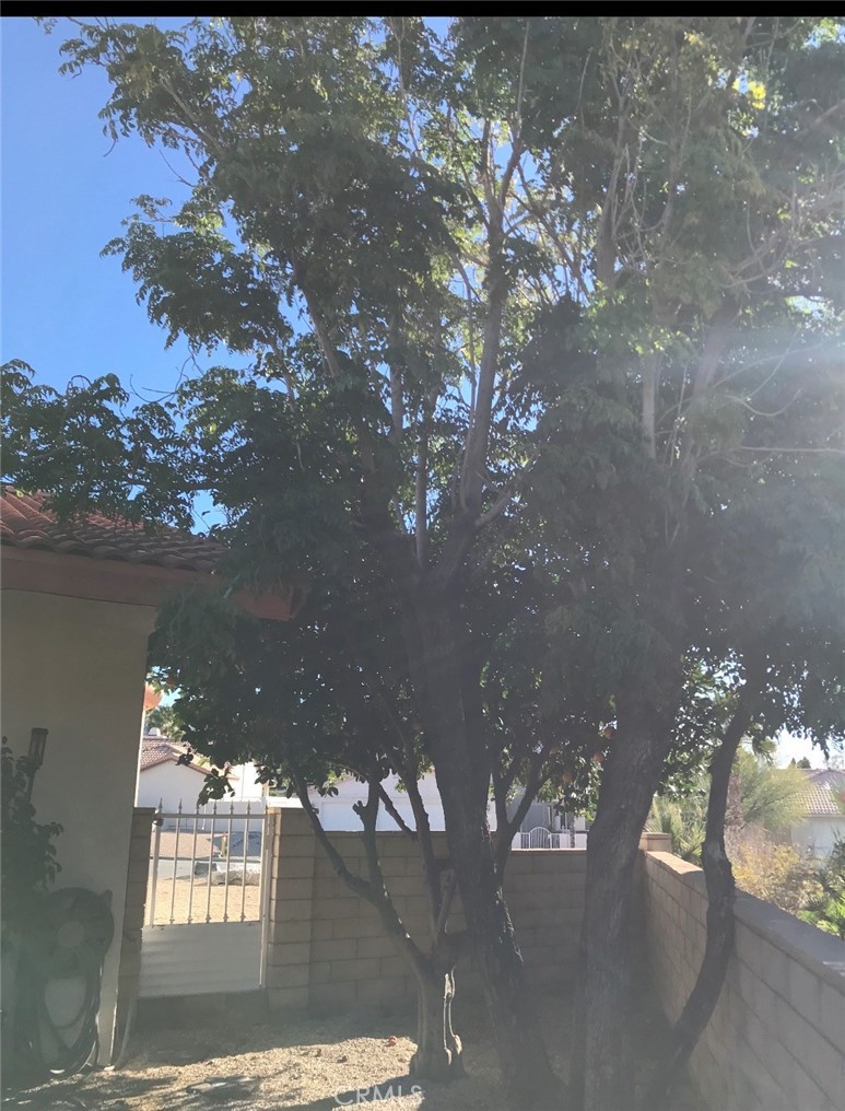 9619 Lido Court Property Photo 19