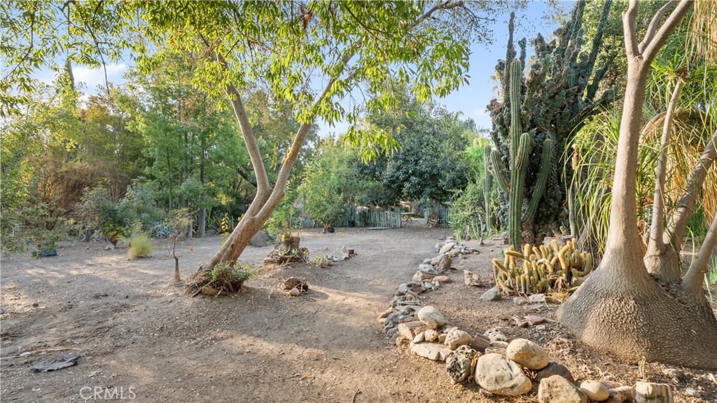 18552 Erwin Property Photo 47