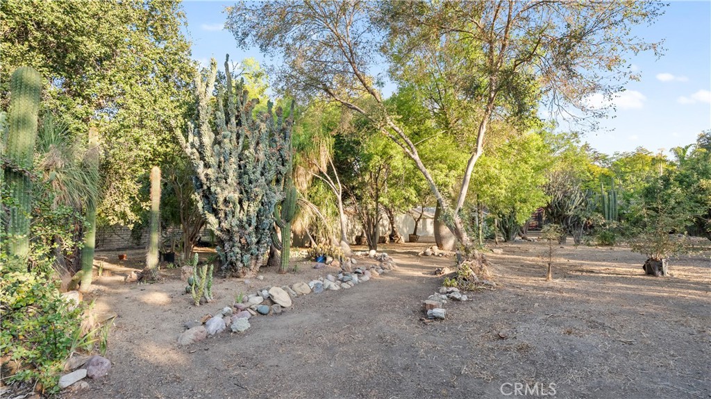18552 Erwin Property Photo 49
