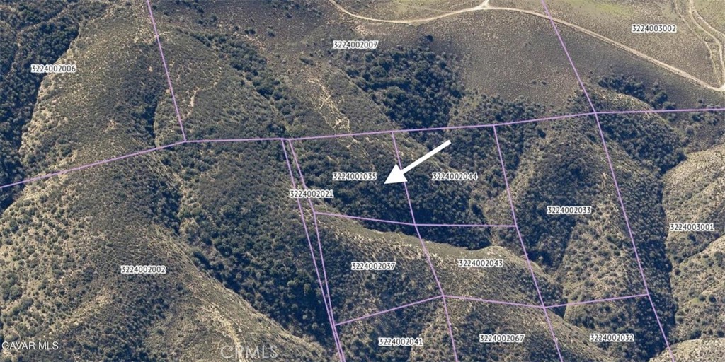 0 Vicinity Johnson Rd / Leadhill Property Photo 9