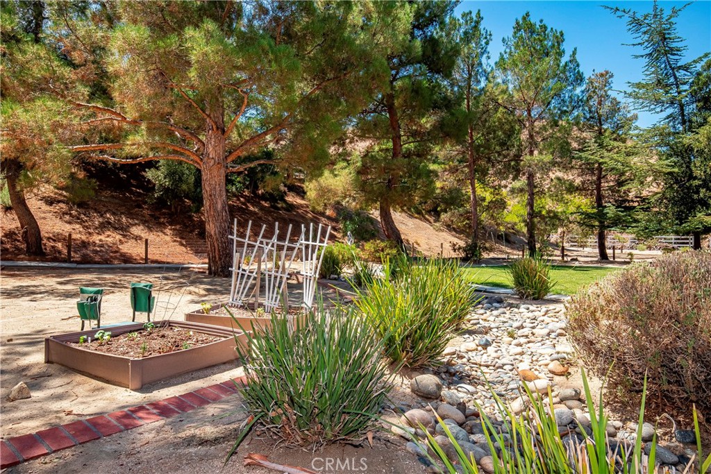 32201 Joaquin Property Photo 63