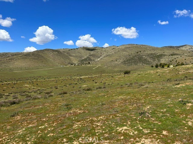 6931 Sierra Property Photo 1