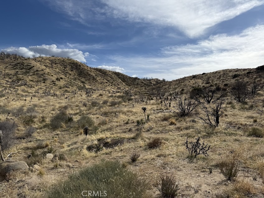 0 200 Property Photo 23