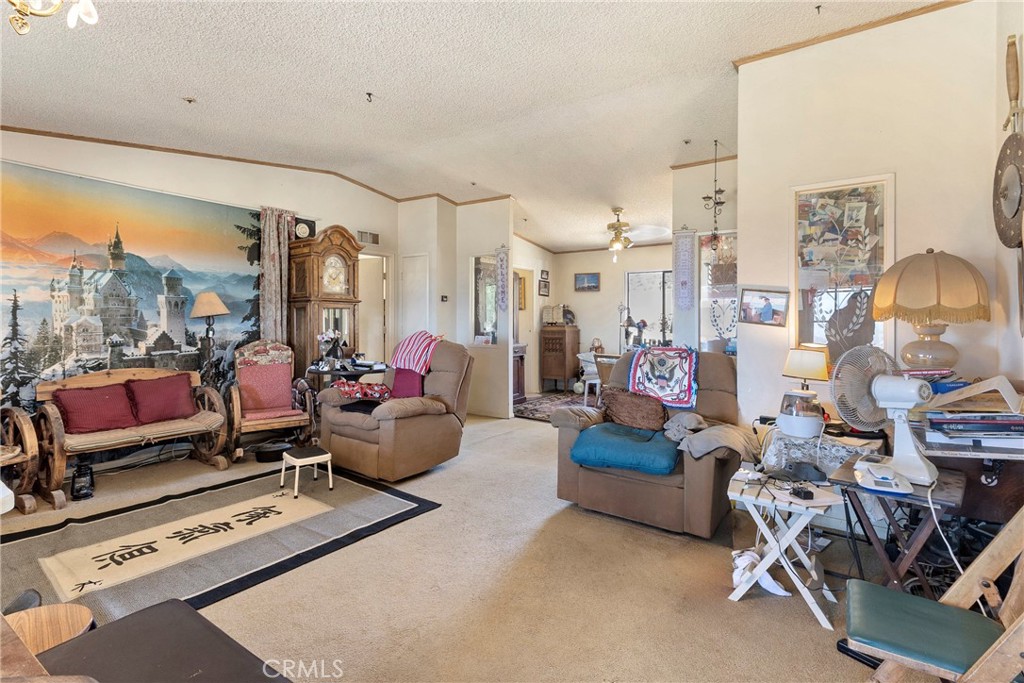 35607 Big Valley Property Photo 7