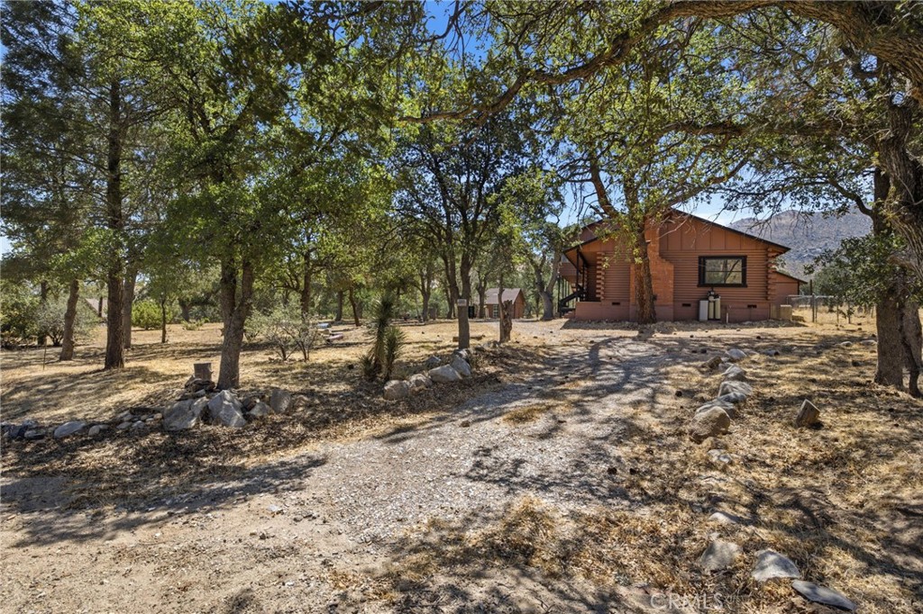 3300 Cook Peak Property Photo 6