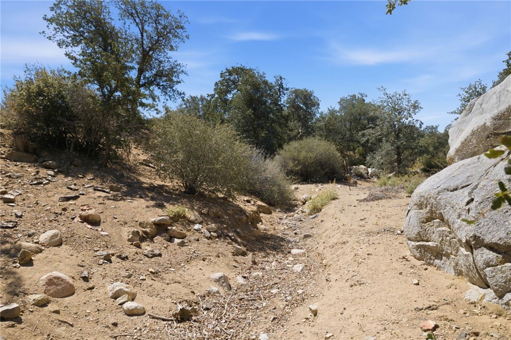 3300 Cook Peak Property Photo 42