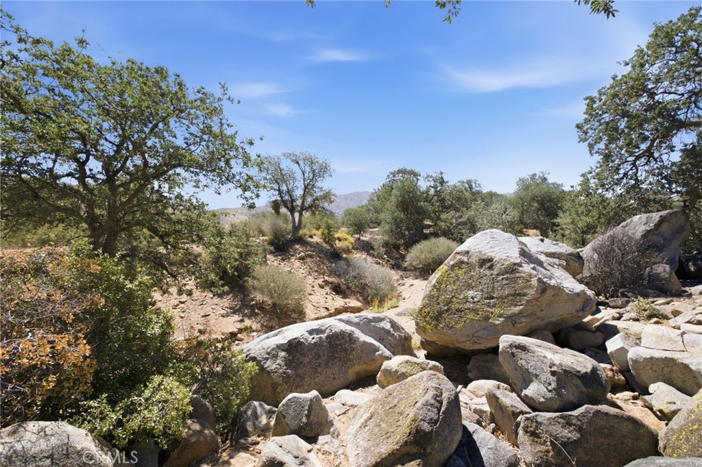 3300 Cook Peak Property Photo 43