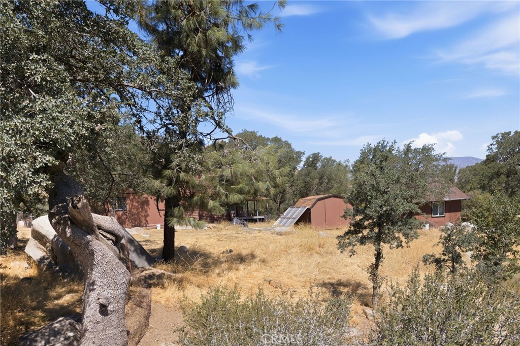 3300 Cook Peak Property Photo 44