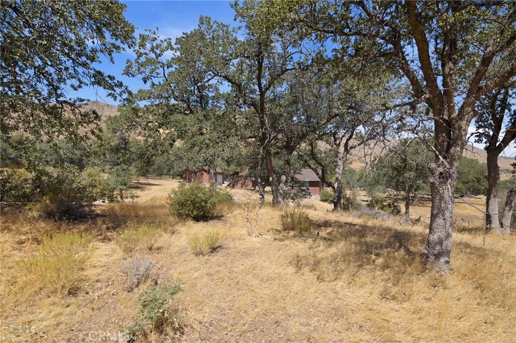 3300 Cook Peak Property Photo 48