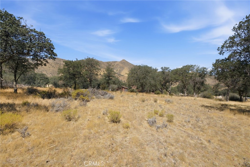 3300 Cook Peak Property Photo 58