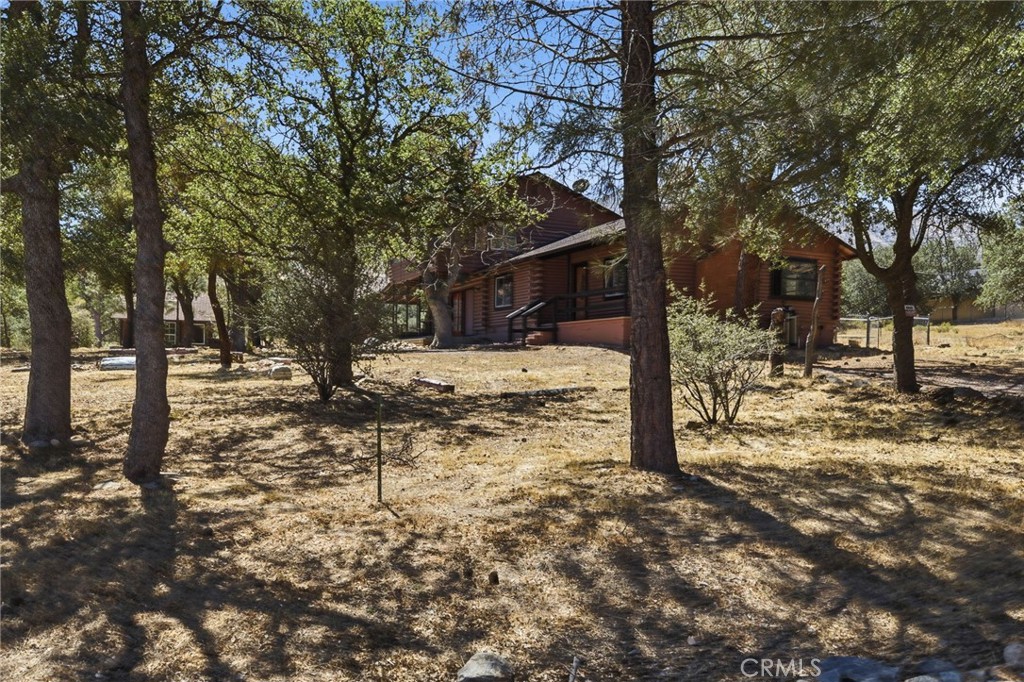 3300 Cook Peak Property Photo 68