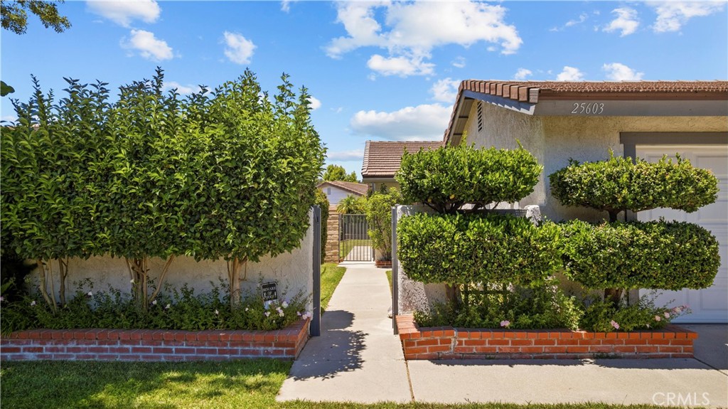 25603 Palma Alta Property Photo 4