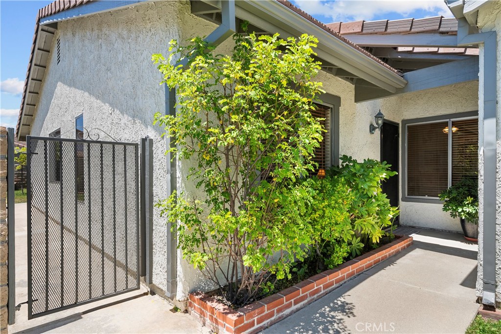 25603 Palma Alta Property Photo 5