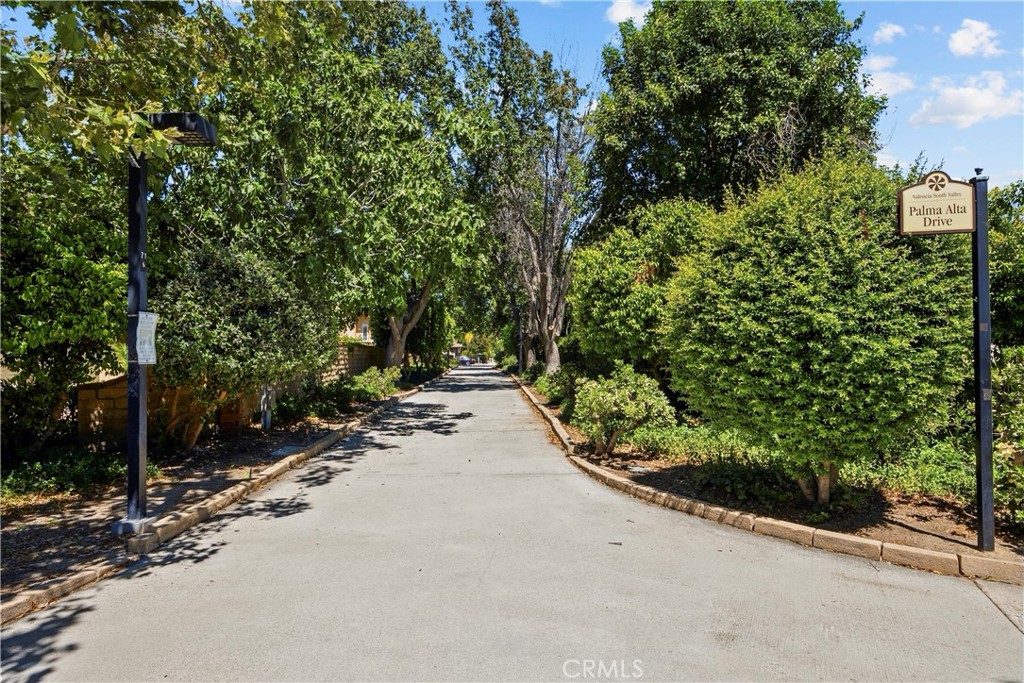 25603 Palma Alta Property Photo 36