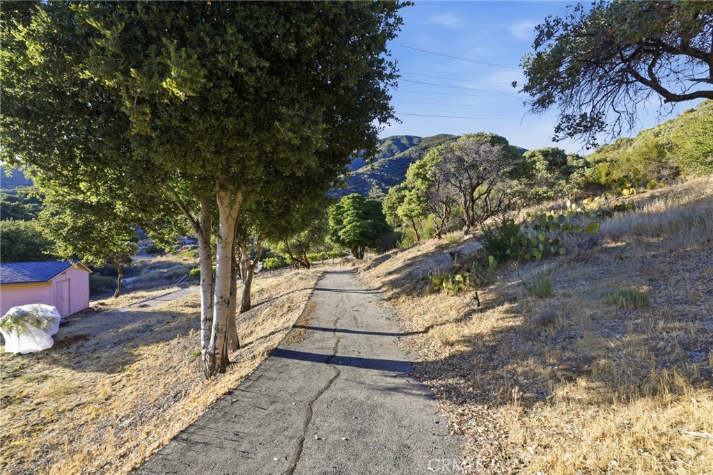 38735 San Francisquito Canyon Road Property Photo 22