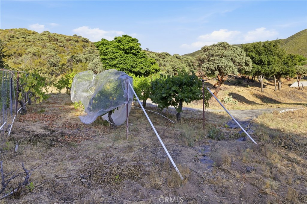 38735 San Francisquito Canyon Road Property Photo 34
