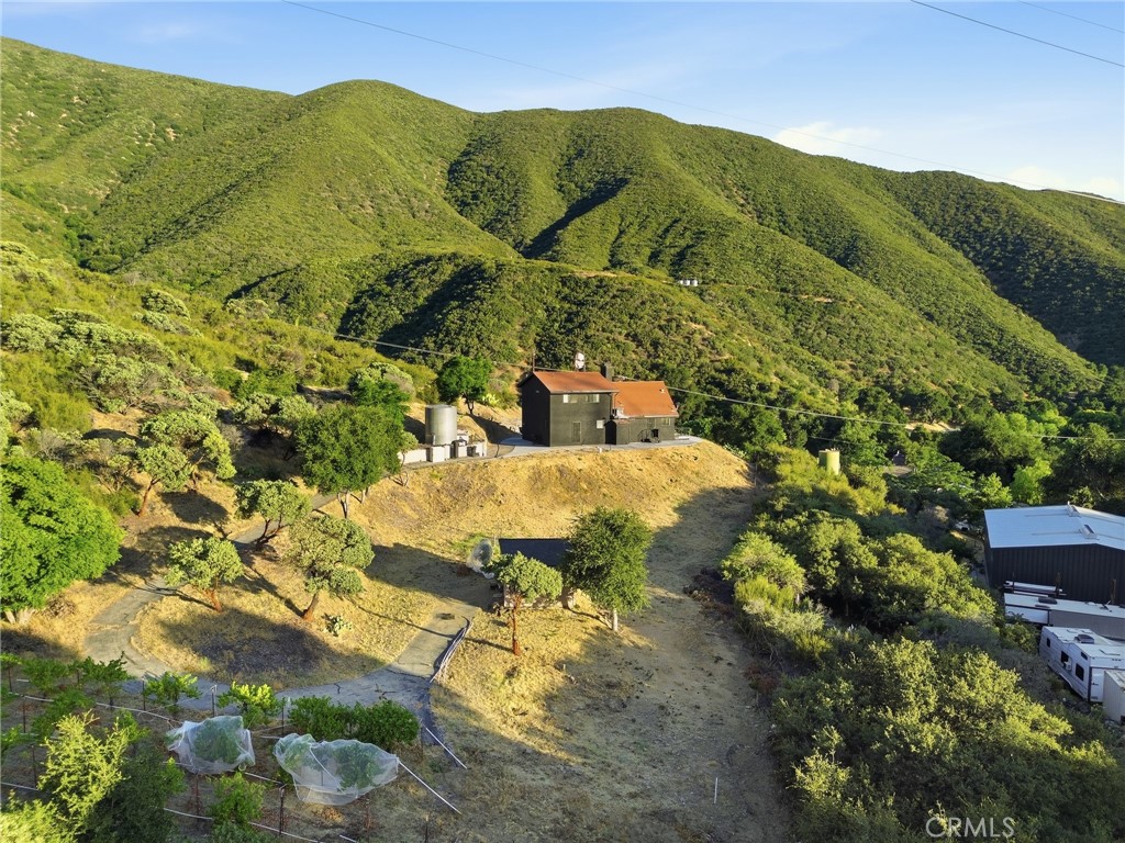 38735 San Francisquito Canyon Road Property Photo 38