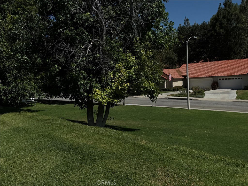 19946 Ave Of The Oaks Property Photo 52