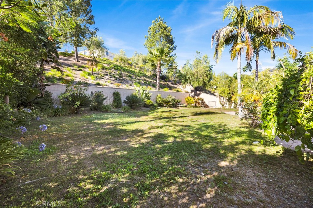 11528 Jenny Lane Property Photo 51