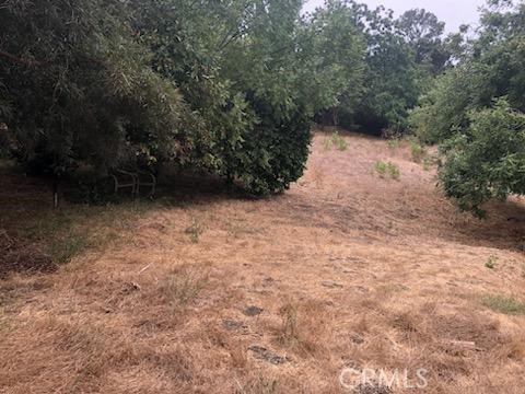 3708 Richardson Drive Property Photo 2