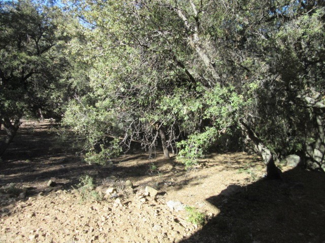 2239 Bernina Property Photo 24
