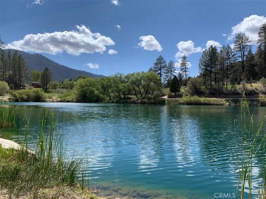 2239 Bernina Property Photo 31