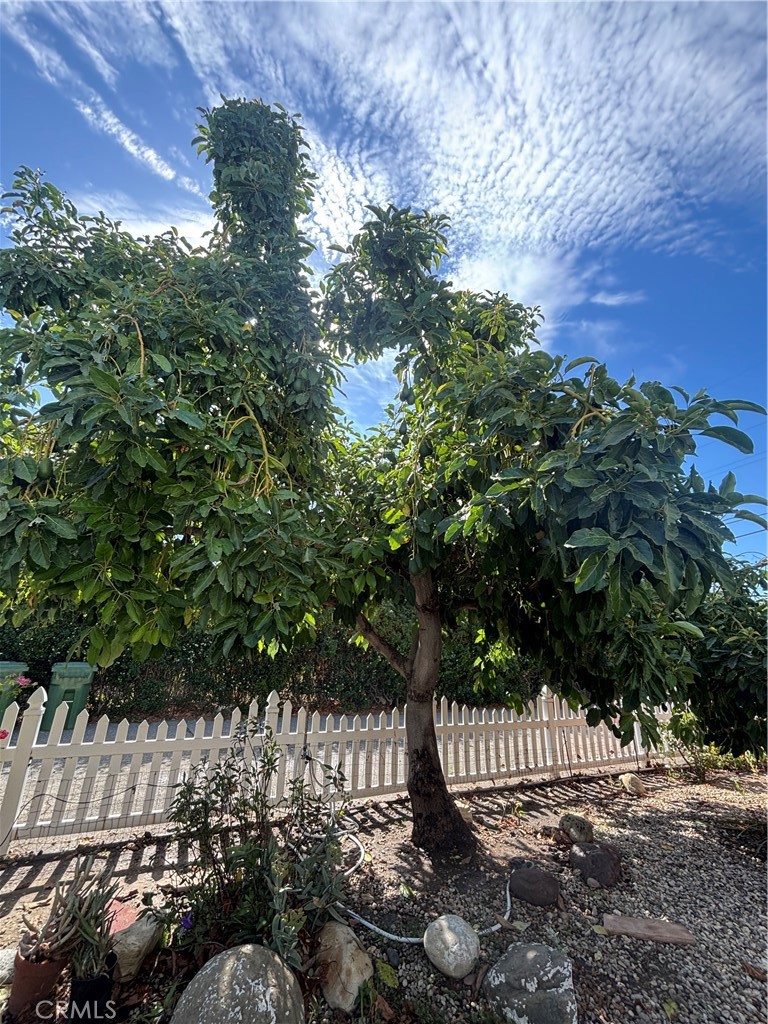 4241 Eve Property Photo 28