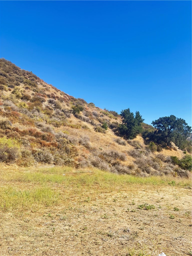 0 Pinedale Place Property Photo 4