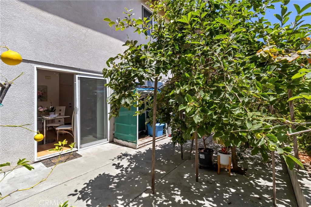 14522 Day Lily Property Photo 33